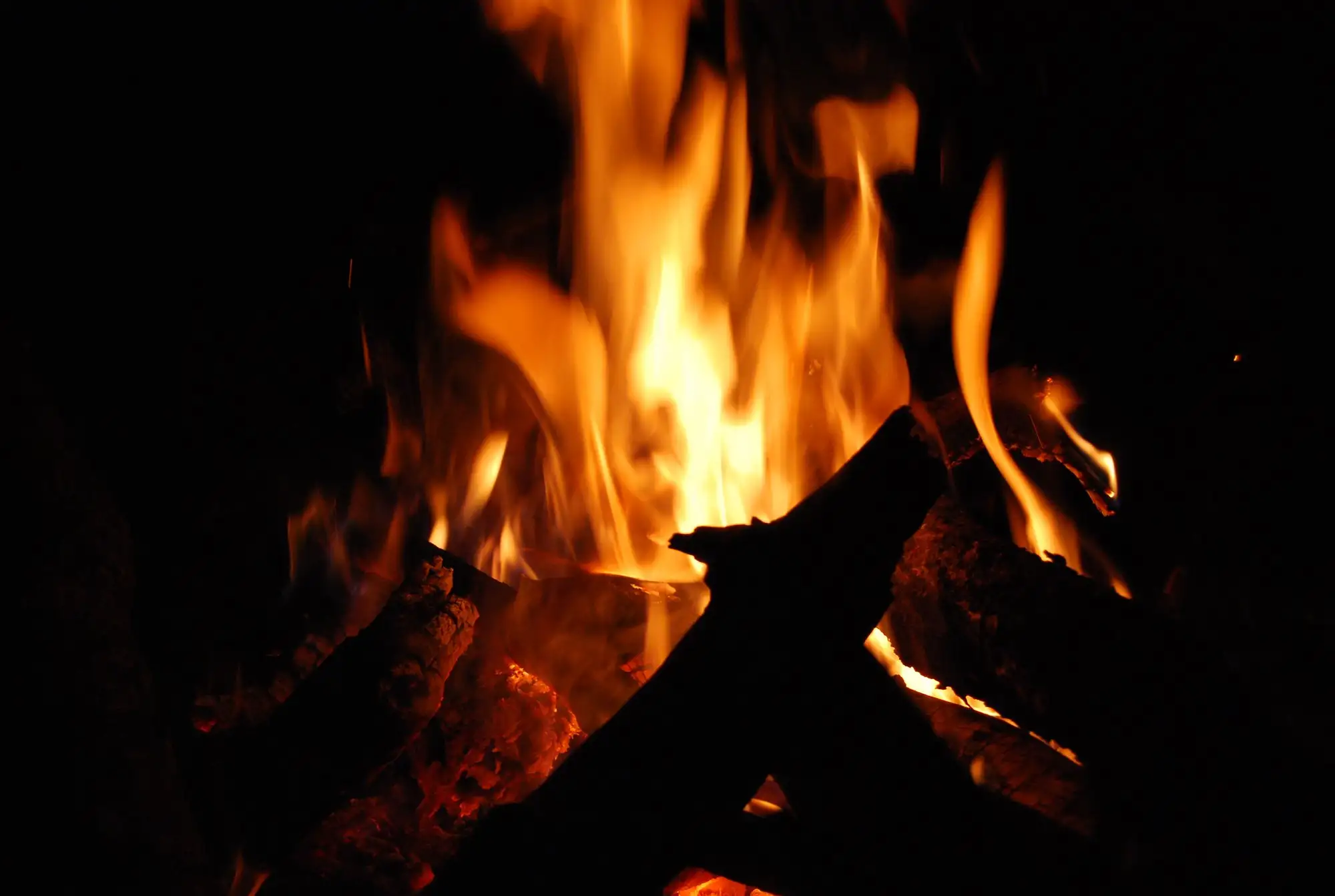 Campfire burning at night