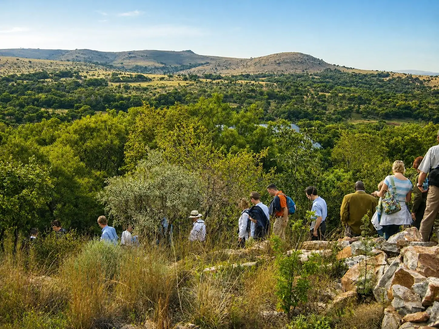 Hikers on a forest trail